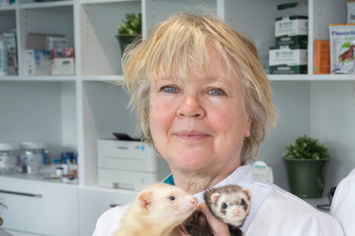 Foto van Tineke Deden — Frettenconsultant